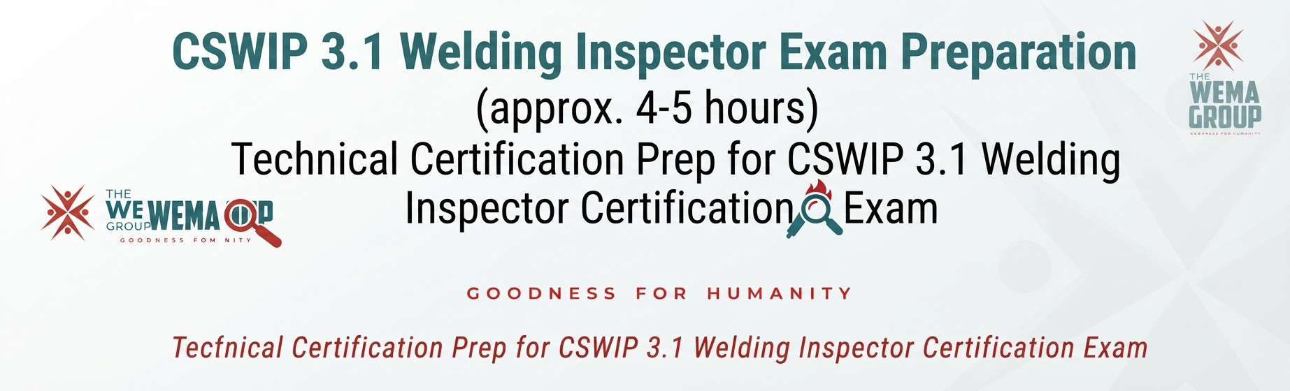CSWIP 3.1
